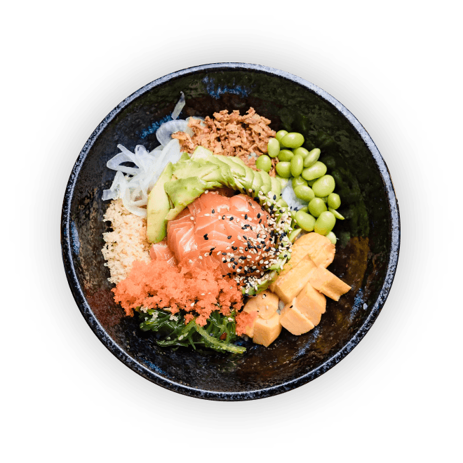 salmonRiceBowl